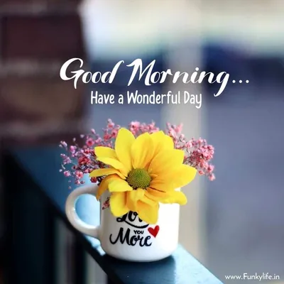 Pinterest in 2023 | Good morning flowers quotes, Good morning flowers, Good  morning beautiful gif