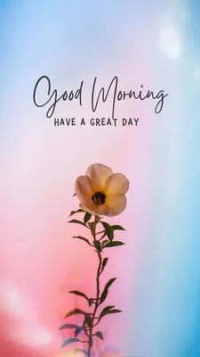 100 Best \"Good Morning\" Messages to Send Someone