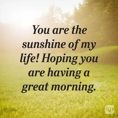 Good Morning Sunshine Stock Photos and Pictures - 19,055 Images |  Shutterstock