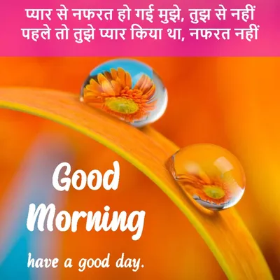 Good Morning Wishes and Images
