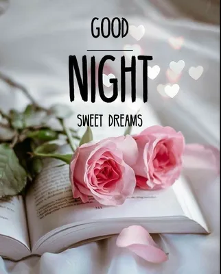 Good Night | Good night sweet dreams, Good night beautiful, Good night  prayer