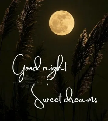 Good Night #Sweet Dreams | Good night sweet dreams, Beautiful good night  images, Good night beautiful