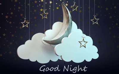 Good Night Stock Photos and Pictures - 138,247 Images | Shutterstock
