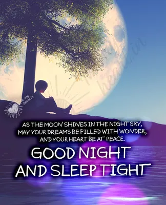 250 Good Night Quotes to Send Sweet Dreams to Your Love - Parade