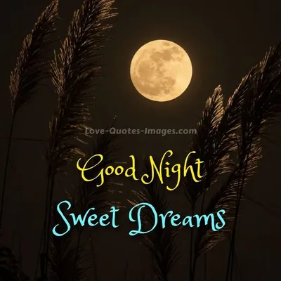 Good Night Moon - Good Night Ecard | CardSnacks