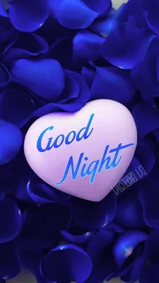 ❤️ Good Night.. My Love... Beautiful Good Night Love Message 💗 - YouTube