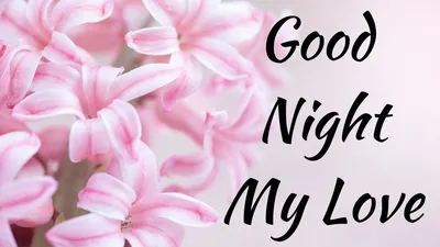 Good Night My Love Greetings