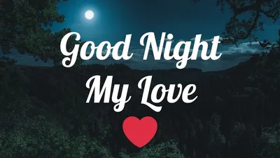 My love...goodnight | Веселые картинки, Открытки, Улыбающиеся животные