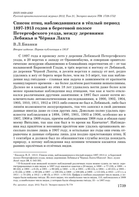 2. ПОДОТРЯД: Разноголосые (Diacromyodi) [1930 Брэм А.Э. - Жизнь животных.  Птицы. Том II]