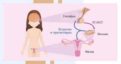 Лоретта Бройнинг Гормоны Счастья (ID#1921661709), цена: 139 ₴, купить на  Prom.ua