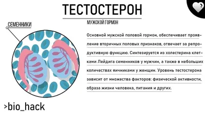 Гормоны Человека — стоковые фотографии и другие картинки Окситоцин -  Окситоцин, Прогестерон, Гормон - iStock