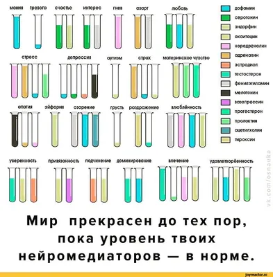 Купить Гормоны счастья. Как приучить мозг вырабатывать серотонин, дофамин,  эндорфин и окситоцин, Лоретта Грациано Бройнинг Издательство МИФ : цена и  отзывы - Психология - Центр Здоровья Кожи