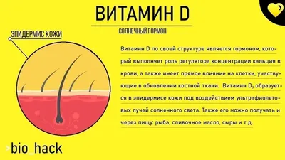 Гормон инсулин: что это, где вырабатывается, функции и механизм действия,  норма в крови