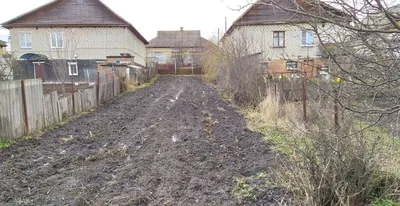 Продам дом в городе Дмитриеве-Льговском в районе Дмитриевском с. Старый  Город, 217 42.0 м² на участке 25.0 сот этажей 1 500000 руб база Олан ру  объявление 57505919