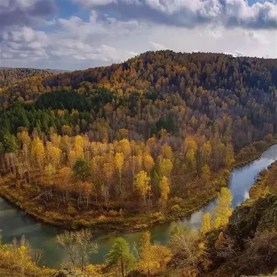 Мифосибирск в картинках: 13 историй города N