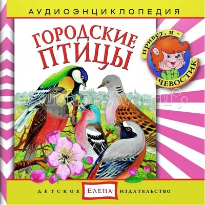 Минприроды Тверской области приглашает принять участие в общероссийской  акции «Покормите птиц!» | 02.02.2023 | Тверь - БезФормата