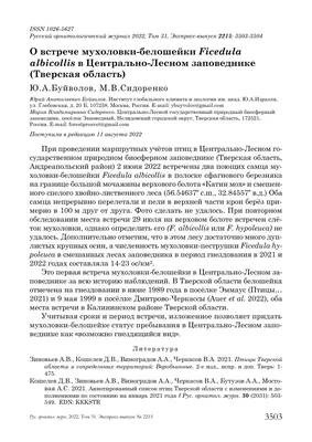 От нашего стола – вашему столу. Чем подкармливать птиц зимой? | Экология |  ОБЩЕСТВО | АиФ Урал