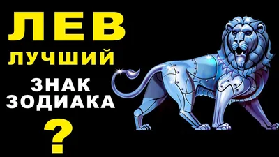 Лев по гороскопу. Лев по жизни. | ВКонтакте