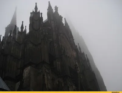 красивые картинки :: Германия :: туман :: Готика :: архитектура  (architecture, архитектура, здание, дом, архитектурный памятник, ) :: собор  / картинки, гифки, прикольные комиксы, интересные статьи по теме.