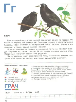 Картинки увидел грача весну встречай (70 фото) » Картинки и статусы про  окружающий мир вокруг