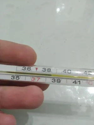Фото градусника с определением температуры
