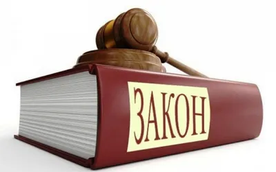 Гражданский кодекс РФ защитит россиян от «ростовщических процентов» – Мирбис