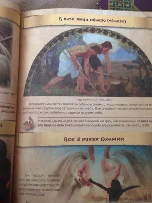 7 смертных грехов, или Сколько страстей могут нас погубить на самом деле -  Православный журнал «Фома»