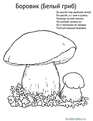 Съедобный гриб Боровик» раскраска для детей - мальчиков и девочек |  Скачать, распечатать бесплатно в формате A4