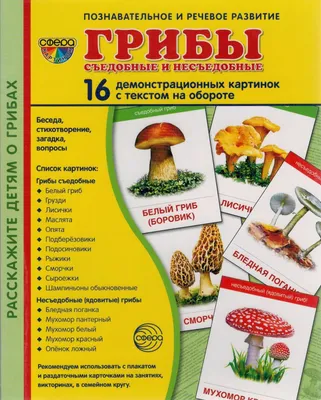 Заготовка деревянная Гриб Боровик, 3.5х3.5х5 см, липа, Creative – купить  оптом и в розницу от 82.0 руб. | ШвейСклад