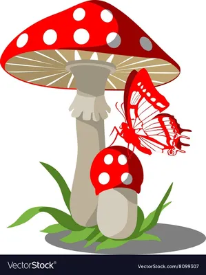 Мухомор красный - Amanita muscaria - Грибы Уломы Железной