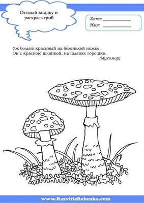 Развиваем ребенка «Грибы» Ч.1 | Развивающие занятия для детей | Дзен