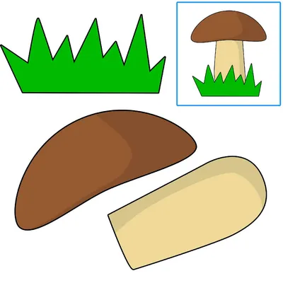 Грибы картинки для детей - игра развивающая найди тень - Раннее развитие
