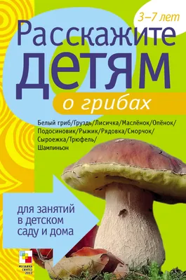 Картинки ГРИБЫ ДЛЯ ДЕТЕЙ, карточки по методике ГЛЕНА ДОМАНА «Вундеркинд с  пеленок» часть 2 - YouTube