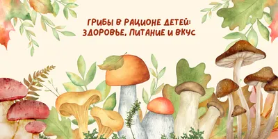 Безопасность в лесу: съедобные и несъедобные грибы в картинках для детей