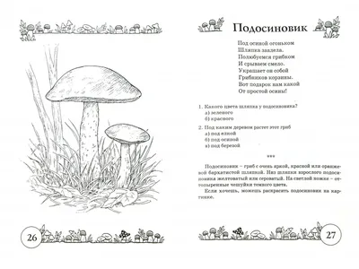 Грибочки картинки для детей - 30 фото