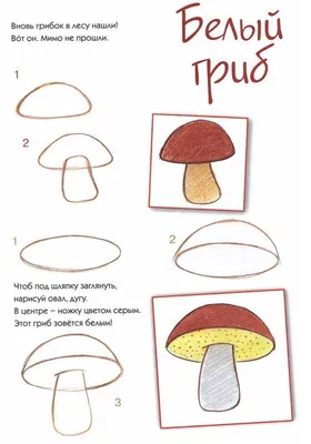 Грибы с названиями для детей: съедобные, несъедобные, картинки