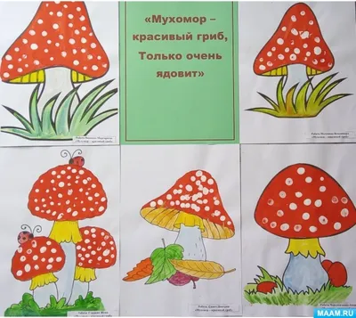 Ядовитые грибы и растения - Лучшее. Воспитателям детских садов, школьным  учителям и педагогам - Маам.ру