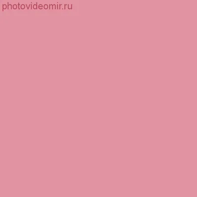 Пиатэк — огненный грифон Армянского нагорья — Армянский музей Москвы и  культуры наций