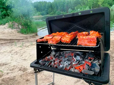 ВИТРИННЫЙ ОБРАЗЕЦ! Скворчер MOBILE переносной гриль Forester SKV-M –  интернет магазин GRILL-SHOP.RU