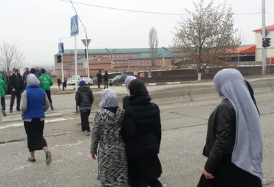 В Старопромысловском районе Грозного детей учат безопасно переходить улицу  — Мэрия города Грозный