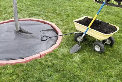 Картинка: Как создать грунтовые покрытия и мульчирование для поддержания здоровой почвы в саду