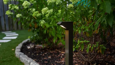 Фотография: Как использовать грунтовые покрытия и мульчирование для уменьшения затрат на уход за садом