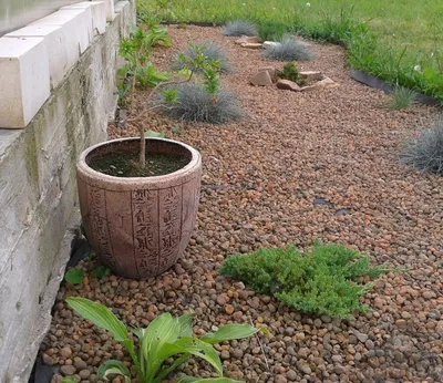 Фотография: Как использовать грунтовые покрытия и мульчирование для уменьшения количества сорняков в саду