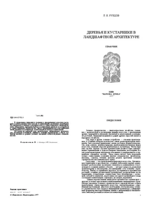 Груша иволистная: образец красоты в мире природы