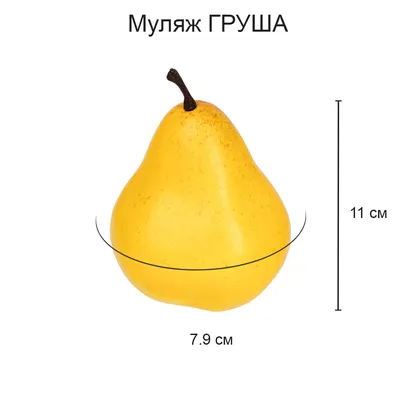 Груша — стоковые фотографии и другие картинки Груша - Груша, Изолированный  предмет, Зелёный цвет - iStock