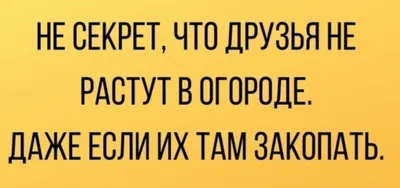 Летний досуг для вашего ребенка в Центре Речи! | Медицинская клиника \"Центр  Речи\" в Зеленограде