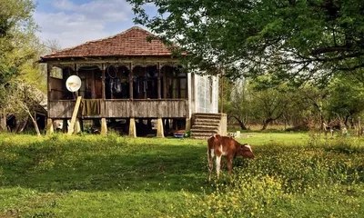 Традиционный грузинский деревенский дом | Каменные дома, Дом, Деревенские  дома