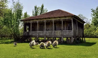 Фото старинных грузинских домиков🤗 | Все о Грузии🇬🇪❤️ | Дзен