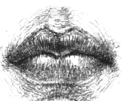 Губы с языком арт - 34 фото