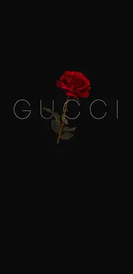 Gucci картинки на аву фотографии